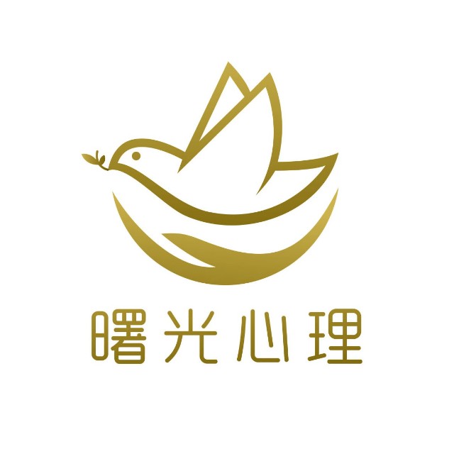 【咨询手记】