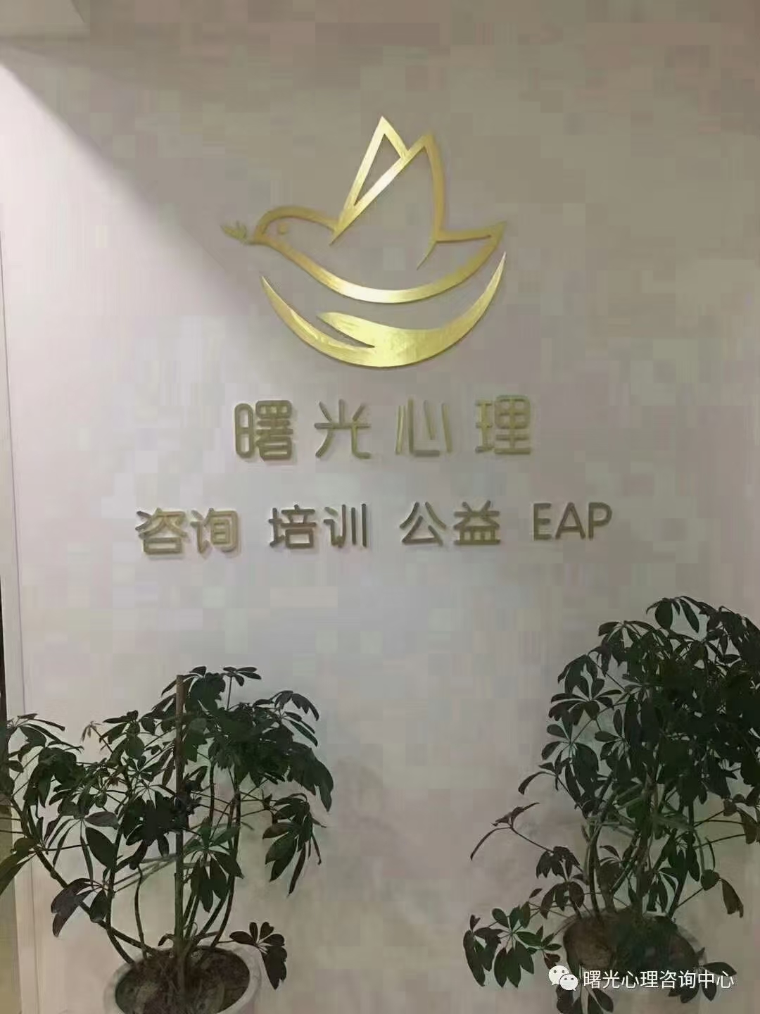 【咨询手记】
