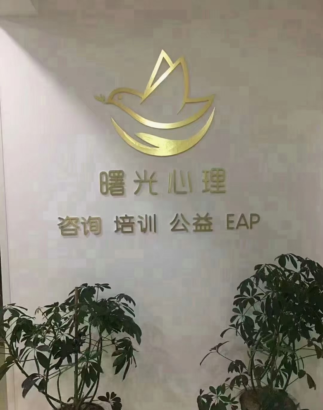 过度共情，深陷同情疲劳怎么办？